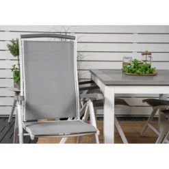 Albany Loungesæt - Havemøbelsæt - Grå,Hvid