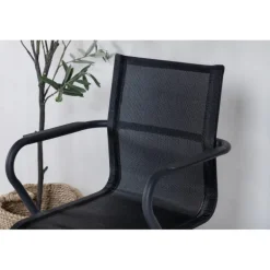 Alina Havestol - Sort