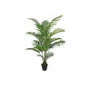 Areca Palme Green