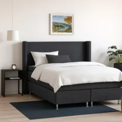 Asta Kontinentalseng