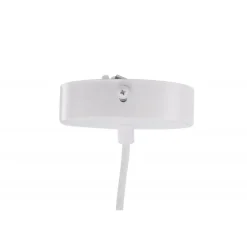 Brivela - Høj Belysning - Natur og Hvid