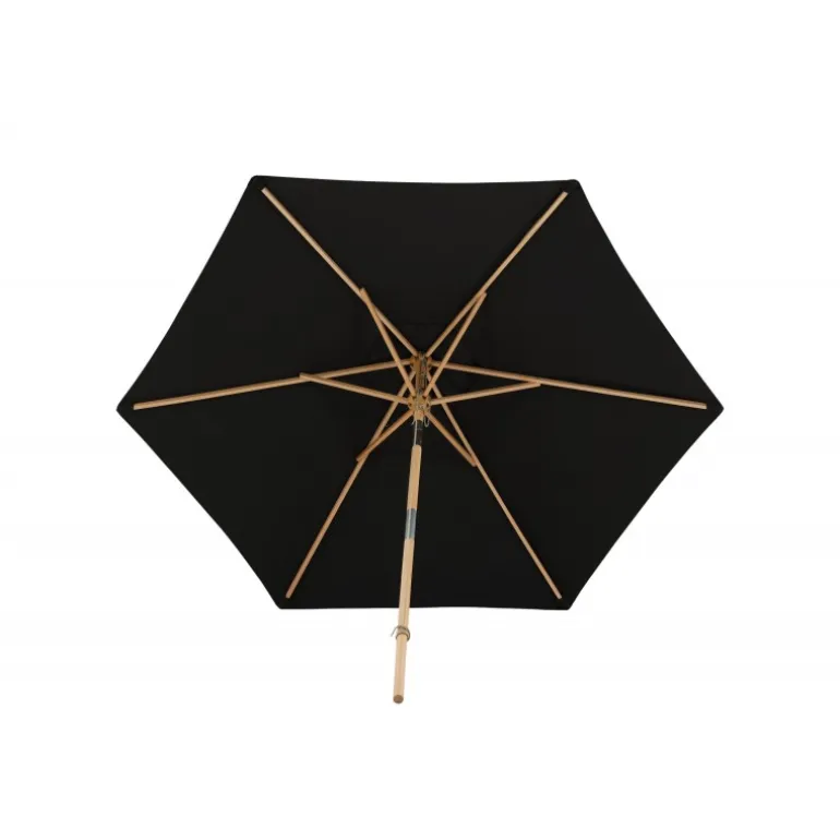 Corypho Parasol - Sort,Natur