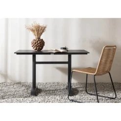 Denver t Spisebord 120 x 70 cm - Sort Aintwood og Aluminium