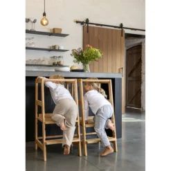 Læringstårn i bøg – Forrest, natur