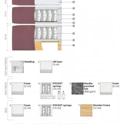 MEGA Kontinentalseng