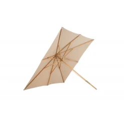 Naxos Parasol - Brun,nature