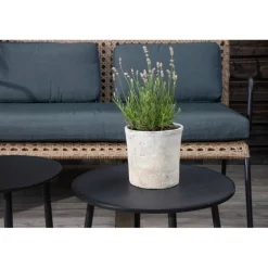 Paola Sofa Sæt - Sort