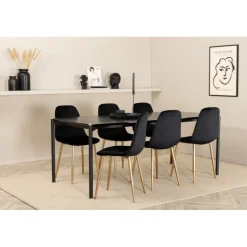 Pelle e Spisebordssæt - Sort og Messing