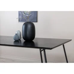 Petra Spisebord - Sort