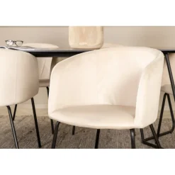 Petra Spisestuesæt - Beige og Sort