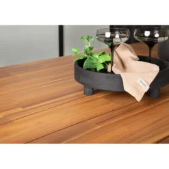 Plankton Bord - Natur