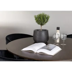 Rundt Spisebordssæt Kaseindon med stole Selma