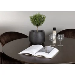 Rundt Spisebordssæt Kaseindon med stole Evening