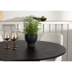 Rundt Spisebordssæt Olivia med stolene Rosie