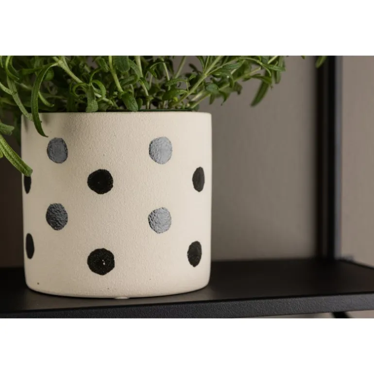 Sane Kruka - Sort og Hvid