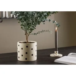 Sane Kruka - Sort og Hvid