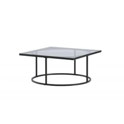 Skanor Bord - Sort og Transparent