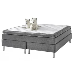 Sova 5-ZONET Kontinentalseng