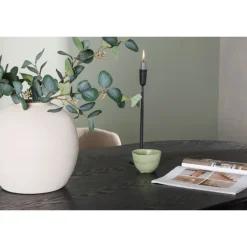 Spisebordssæt Isolde med Modesto stole