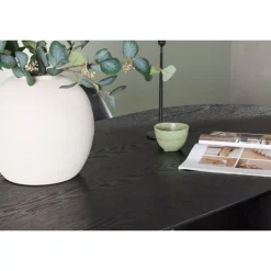 Spisebordssæt Isolde med stole Zeno