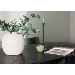 Spisebordssæt Isolde med stolene Montros