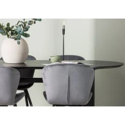 Spisebordssæt Isolde med stole Lilja