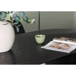 Spisebordssæt Isolde med stole Polar