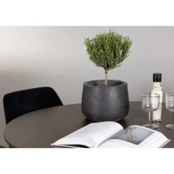 Spisebordssæt Kaseindon med Night stole