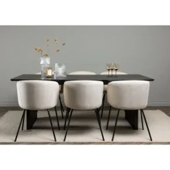 Spisebordssæt Vail med Spisebordsstole Berit