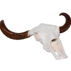 Uægte dyrehoved i hvid og brun