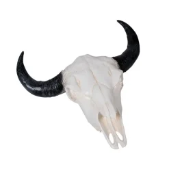 Uægte tyrehoved i sort og hvid