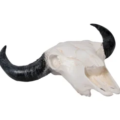 Uægte tyrehoved i sort og hvid