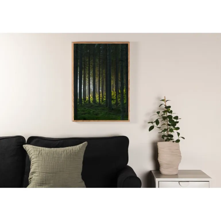 Woods Plakat - Sort og Grøn